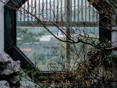 -东方艺术博物馆