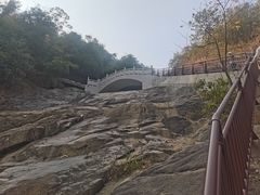 -广州白江湖森林公园