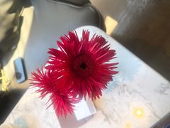 -拾久(朝阳公园店)