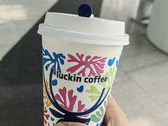 -瑞幸咖啡(北美N1购物中心店)