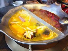花胶鸡鸳鸯锅-湊湊火锅·茶憩(和平大悦城店)