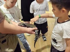 -上海昆虫博物馆