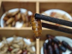 -昆虫窝子·特色云南菜(拓东路总店)