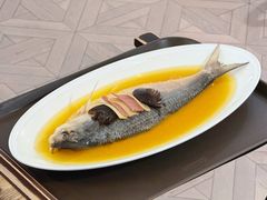 鸡油花雕酒蒸鲥鱼-鹿园 MOOSE(长宁店)