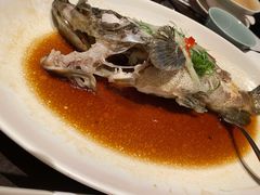 花雕酒蒸农场鸡-环球港凯悦 · 享悦中餐厅