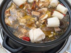 -蘑统田下·野生菌火锅