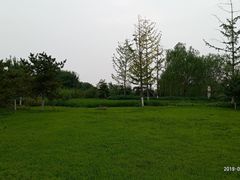 -永定河休闲森林公园