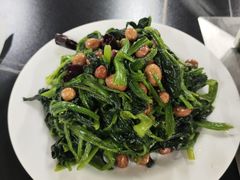-老黑板筋(顺义总店)