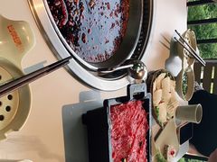-巴倒烫陆派重庆火锅(南山店)