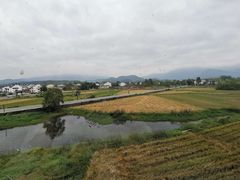 -黄牛肉馆·皖南土菜