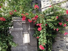 iphone_upload_pic-四川大学(华西校区)