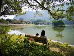 -南沙蒲洲花园