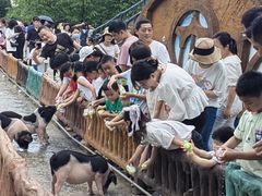 -湖南湘都生态农业园