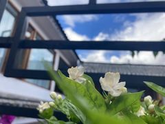 -浔岚云舍mist静谧观景美宿(丽江古城店)