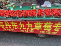-辽宁电视塔