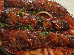 -新君悦国际酒店