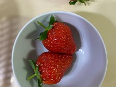 -喜杨洋草莓采摘园