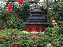 -南宫五洲植物乐园