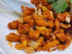 -峨嵋酒家 南北川菜 优选烤鸭(广渠路店)