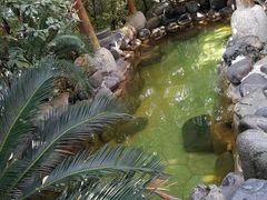 -金凤凰温泉度假村·凤凰汇中餐厅