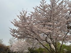 -玉山公园
