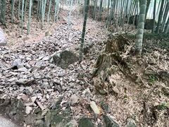 -藏龙百瀑风景区