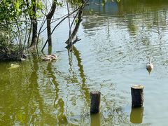 -美家乐农庄·露营·团建(大治路店)