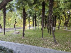 -中央公园(苏州工业园区)