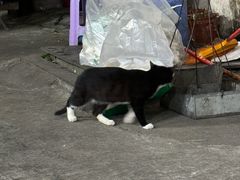 -老瓦房冷锅串串(文殊院店)