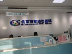 -北京观赏动物医院·24小时大型综合·猫专科·异宠专科