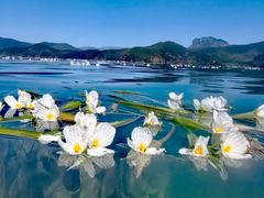 -丽江泸沽湖景区