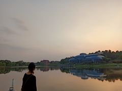 -大塘金香草谷