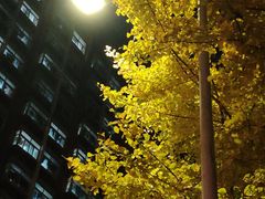 -五道口枣糕王(成府路店)