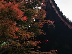 -灵顺寺