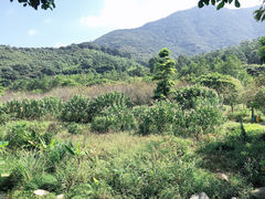 -福清灵石山国家森林公园