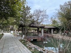 -八大山人梅湖景区