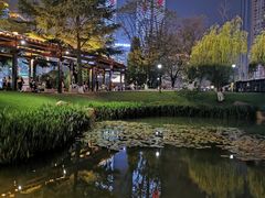 -花果园湿地公园