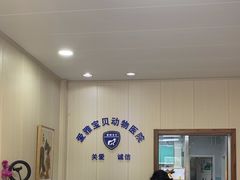 -中农大我爱我爱24h动物医院·中医针灸·猫专科·骨科医疗中心(双井店)