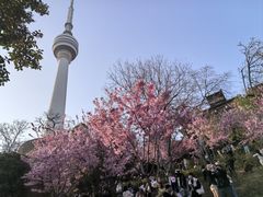 -龟山风景区-龟山电视塔