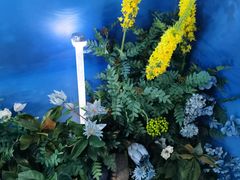 -新世界大丸百货