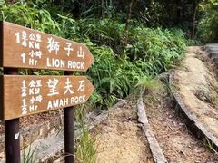 -狮子山郊野公园