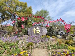 -无锡梅园公园