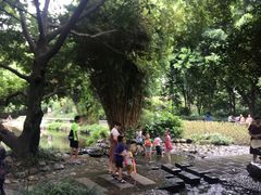 -成都市活水公园