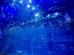 -华夏文旅西安度假区