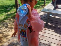 -古柏渡飞黄旅游区