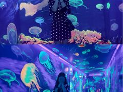 -成都浩海立方海洋公园