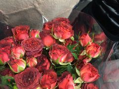 -循礼门鲜花花市(武汉循礼门店)