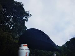 -鲁镇