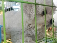 -长春农业博览园