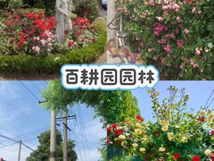 -老鼎万春卤菜(五代传承创始老店)